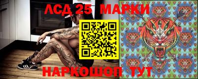 бошки Шебекино
