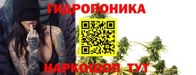 соль ск Шелехов