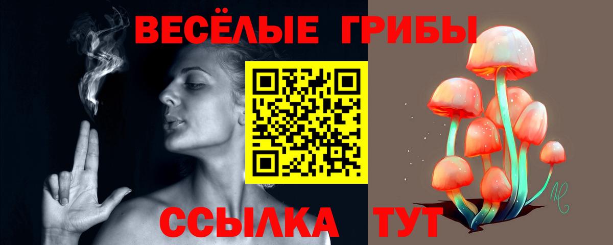 Луховицы  Псилоцибиновые грибы прущие грибы  Вход с VPN  Галлюциногенные грибы ЛСД 