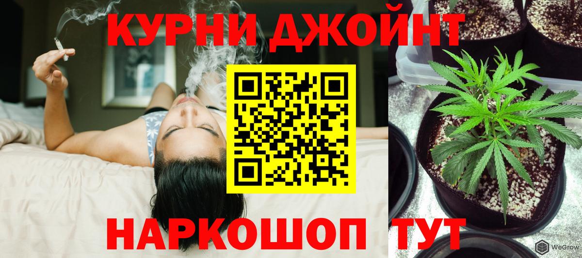 Конопля Ganja Луховицы
